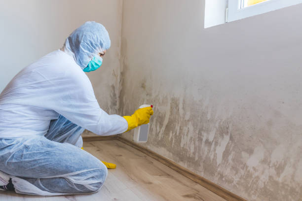 Hvac And Air Duct Mold Remediation inspection of HVAC system in Grant